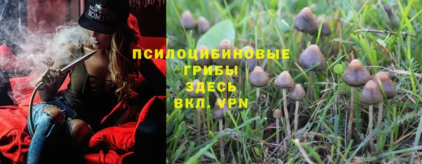 гашик Армянск