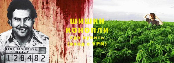 СК Арсеньев