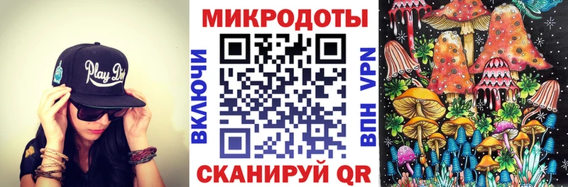OMG вход  Усть-Джегута  Галлюциногенные грибы мицелий  что такое  